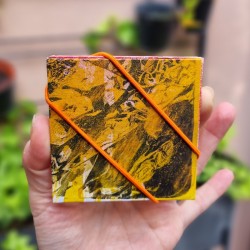 Carnet serpent gelli...
