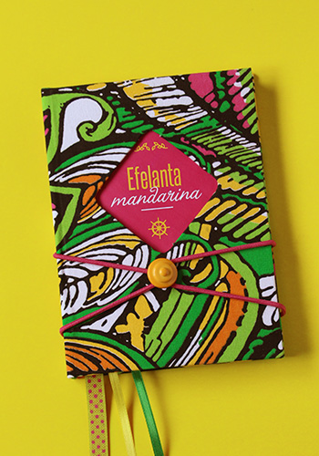 Carnet dos épais
