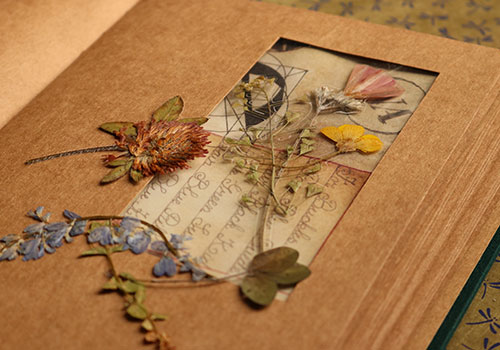 Des matériaux pour votre journal intime ou bullet journal 04