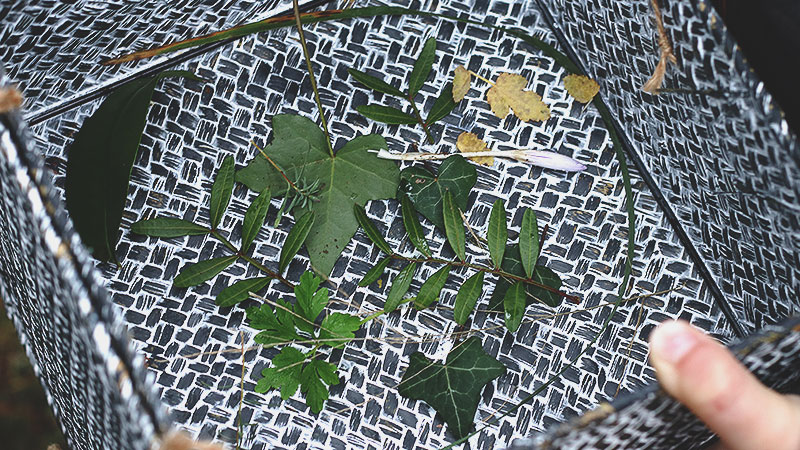 Carnet album artisanal herbier 01
