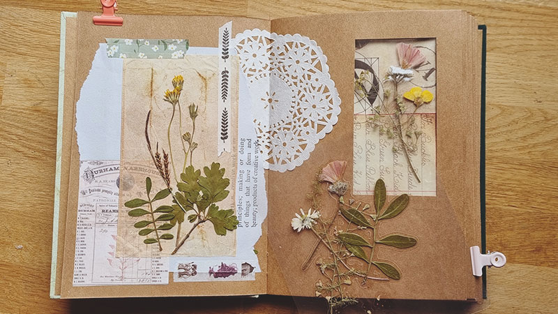 Carnet album artisanal herbier 05